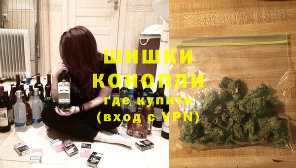 PSILOCYBIN Бронницы