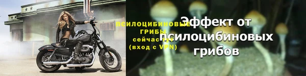 PSILOCYBIN Бронницы