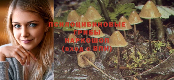 гашиш Бородино