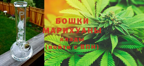 PSILOCYBIN Бронницы