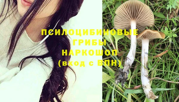 PSILOCYBIN Бронницы
