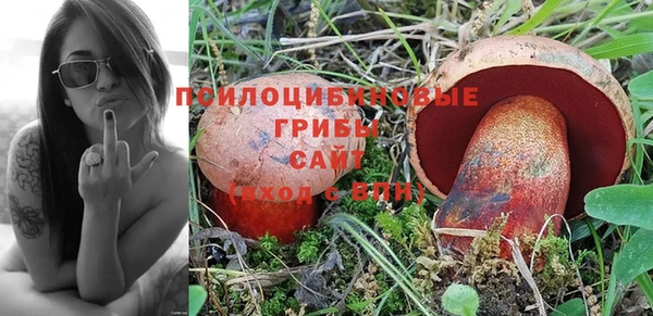 гидропоника Бугульма