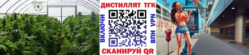 Купить закладки  Белово  Дистиллят ТГК гашишное масло 