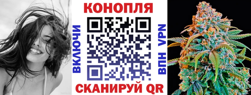 Купить закладки  Белово  Шишки марихуана SATIVA & INDICA 